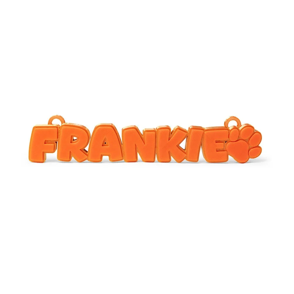 Orange personalized pet name tag 'FRANKIE' with paw print, custom engraved for dogs