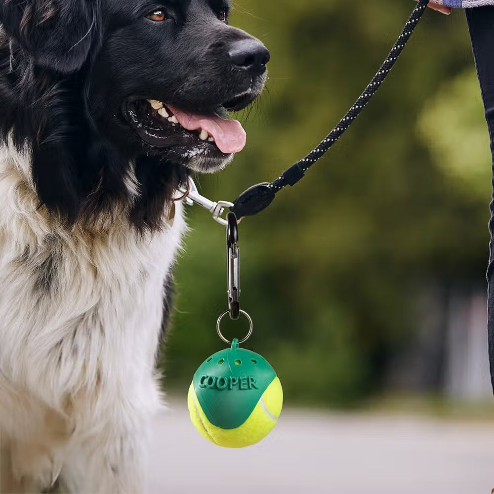 Dog leash with personalized tennis ball holder attached for walks and fetch