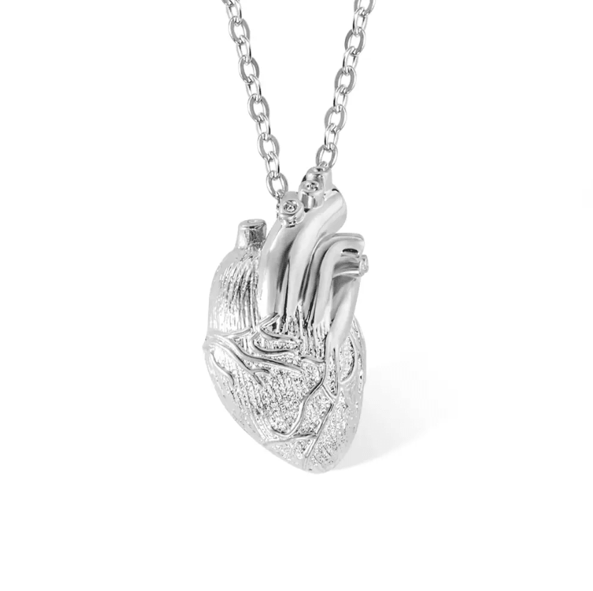 Silver anatomical heart pendant on a chain, detailed and reflective, set against a white background.