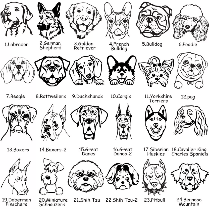 Set of 24 dog breed illustrations including Labrador, German Shepherd, Poodle, and more for identification or design.