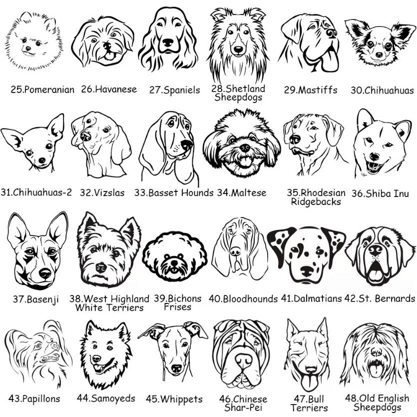 Collection of 24 dog breed illustrations, including Pomeranian, Maltese, Shiba Inu, and more for creative use.