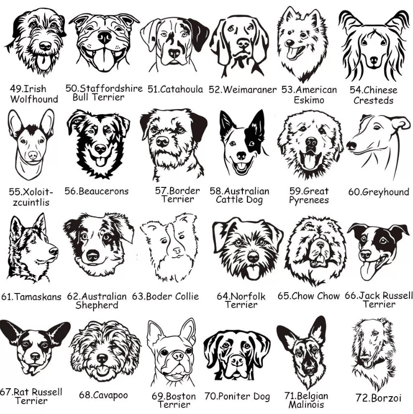 Assorted dog breed illustrations, including Irish Wolfhound, Staffordshire Bull Terrier, and Weimaraner, for design use.