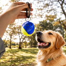 Dog looking at personalized tennis ball holder clipped with carabiner