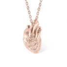 Personalized Anatomical Heart Necklace - Custom Engraved Medical Jewelry for Healthcare Professionals in Gold, Silver, or Rose Gold - Belbren