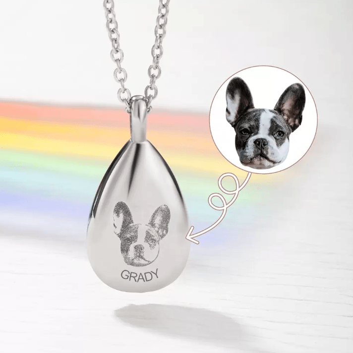 Stainless Steel teardrop pendant with engraved paw print and name 'Grady' linked to an image of a French Bulldog.